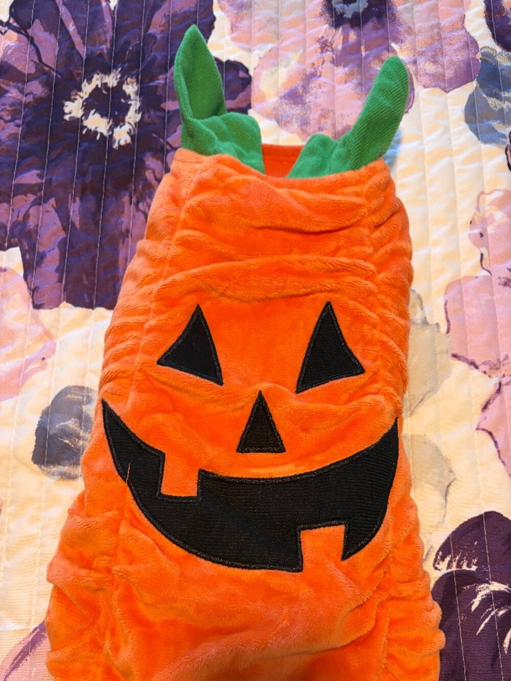 Dog Pumpkin Costume- Small